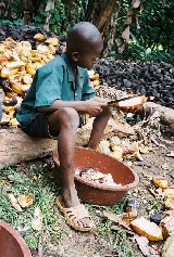 Chocolate Labourer